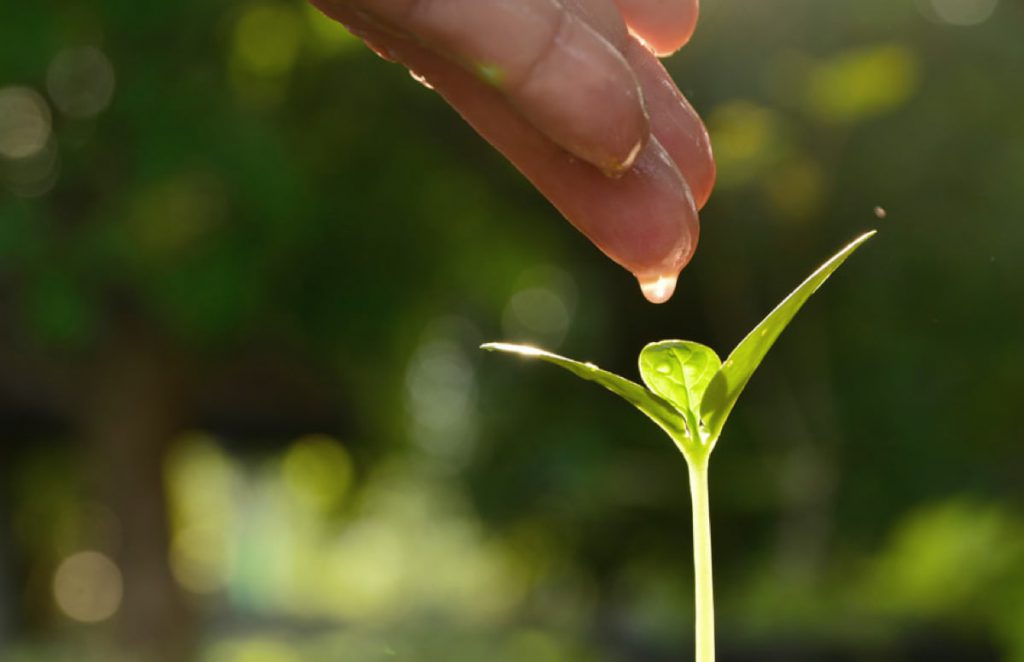 Sustainability